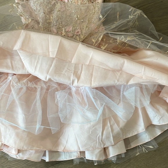 Dancing Queen Blush Pink Gold Embroidered Tulle Floral Mini Dress Size XS - Picture 16 of 16